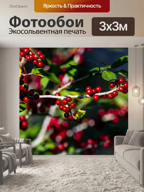 Фотообои красный ягодный куст