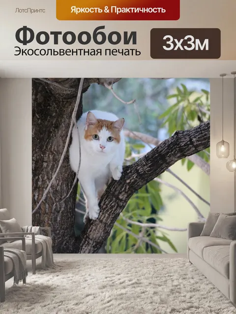 Фотообои Кошка