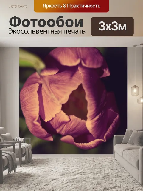 Фотообои Фиолетовый Тюльпан