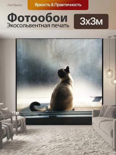Фотообои Кошка