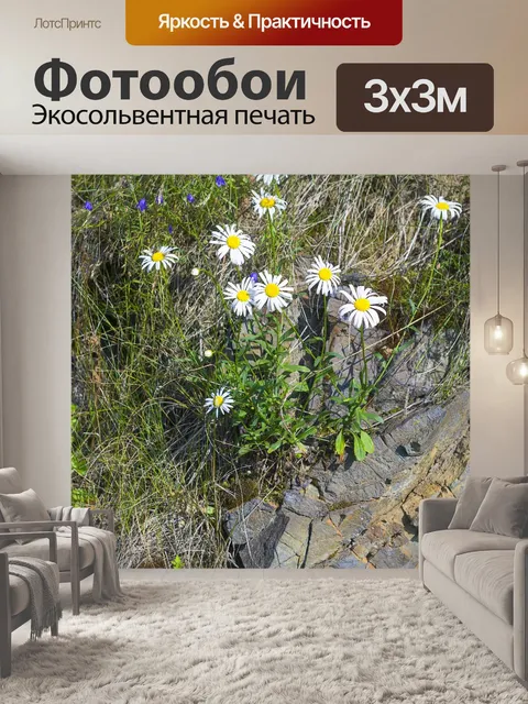 Фотообои Ромашка
