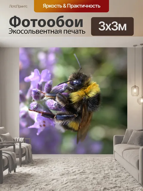 Фотообои Шмель сбора пыльцы
