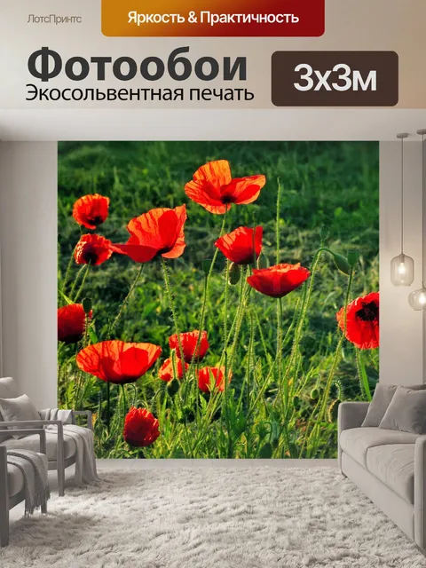Фотообои Красные цветы мака