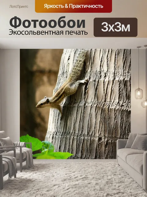 Фотообои Белка