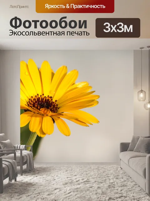 Фотообои Календулы