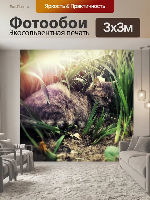 Фотообои Кошка