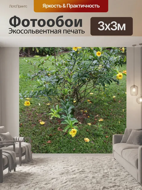 Фотообои Коста-Рика Цветы