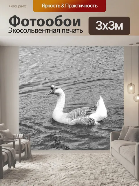 Фотообои Морской гусь на пруду