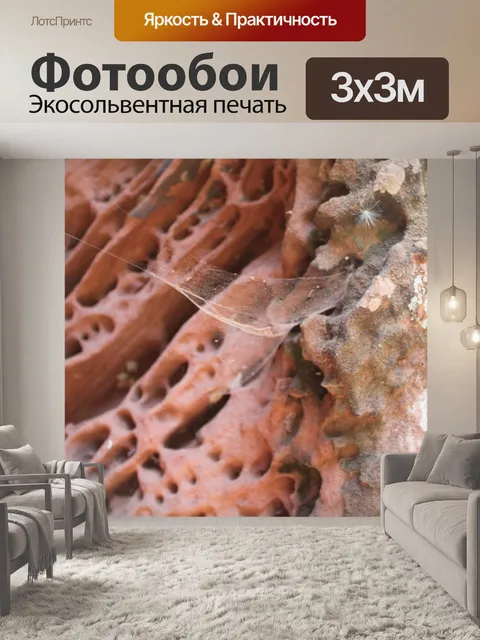 Фотообои Альвеолярная эрозия