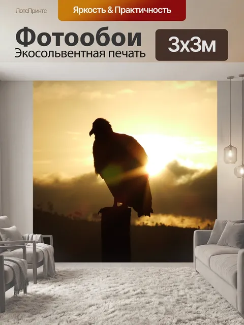 Фотообои Стервятник