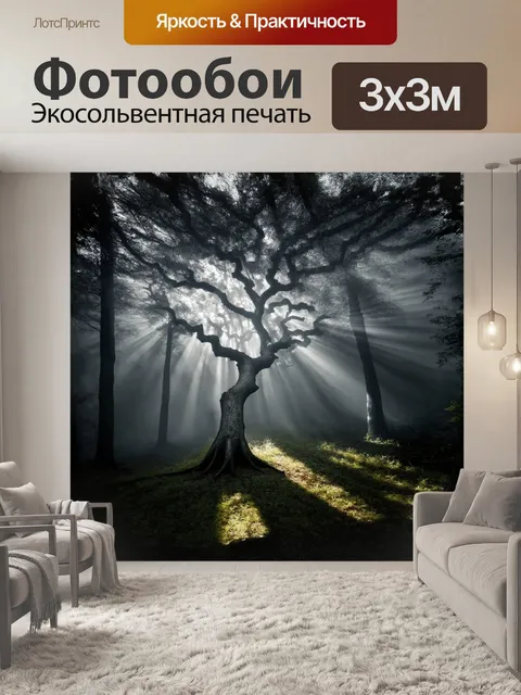 Фотообои в туманном лесу, окутанном серыми облаками, сквозь которые пробиваются солнечные лучи, величественно…