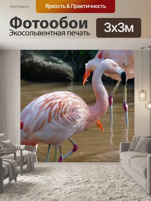 Фотообои Птица