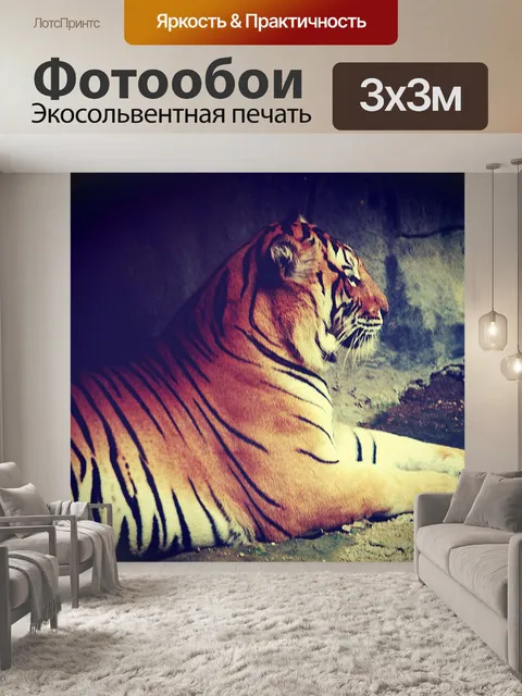 Фотообои тигр в зоопарке Таиланда