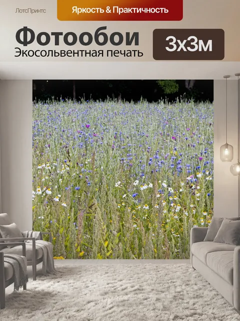Фотообои Васильки