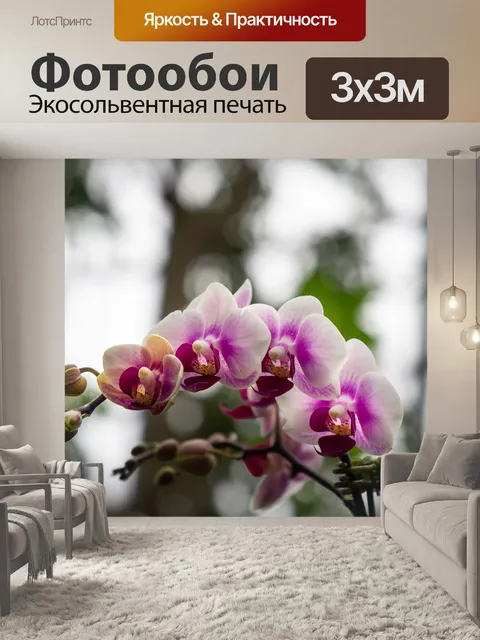 Фотообои Цветы