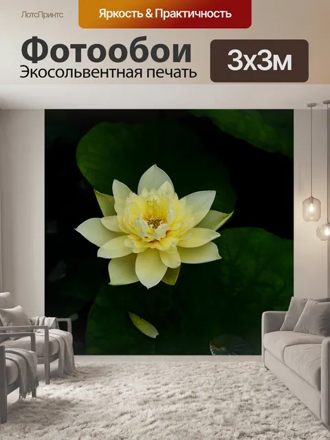 Фотообои Золотой лотос