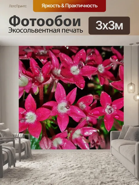 Фотообои Цветы