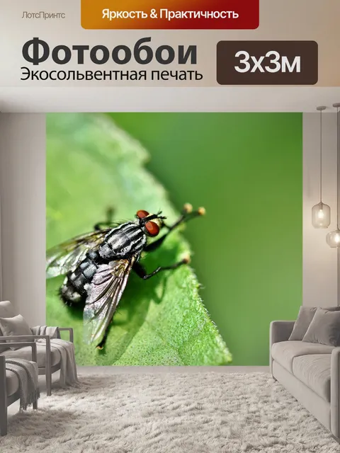 Фотообои Летать