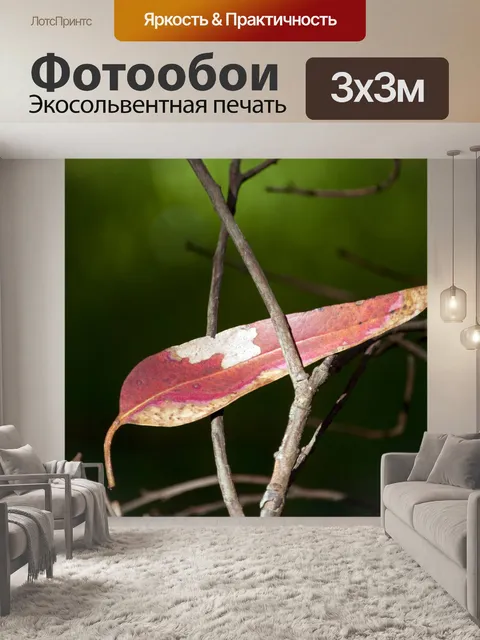 Фотообои Падший лист