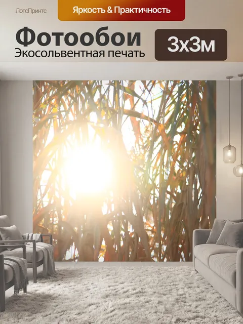 Фотообои Солнце