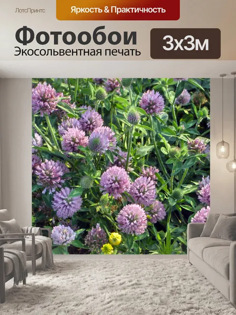 Фотообои Полевые цветы (13)