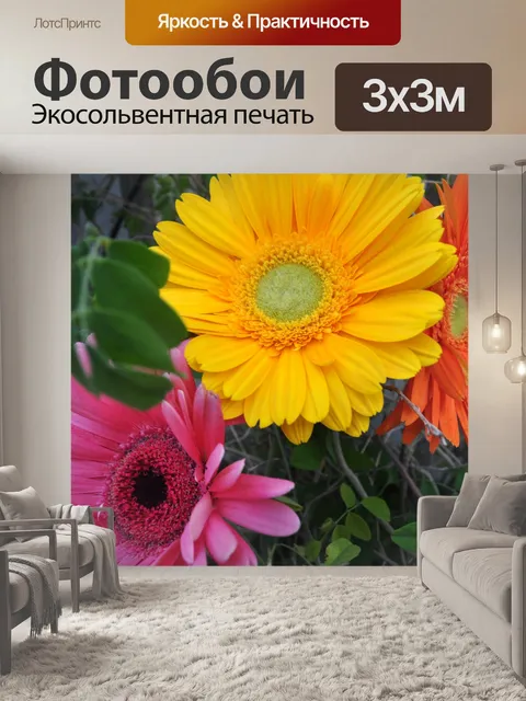 Фотообои Гербера ромашка 03