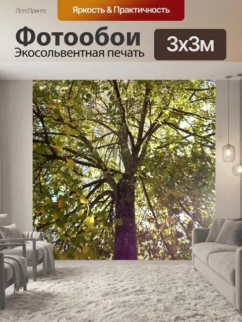 Фотообои Ветви деревьев зеленой листвой 06
