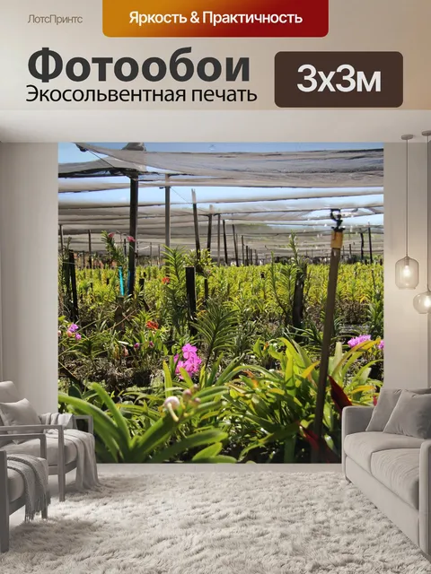 Фотообои Орхидея Теплица