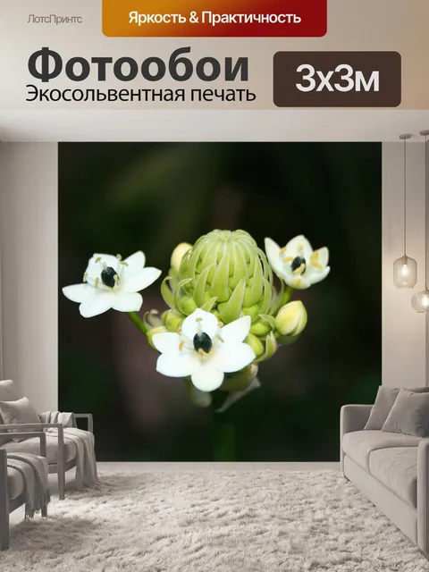 Фотообои Белые цветы