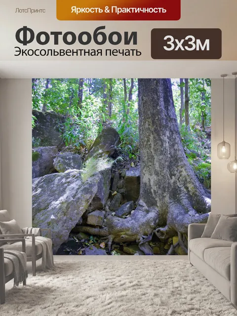 Фотообои Деревья и лес 16