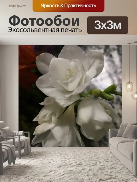 Фотообои Цветок вянет