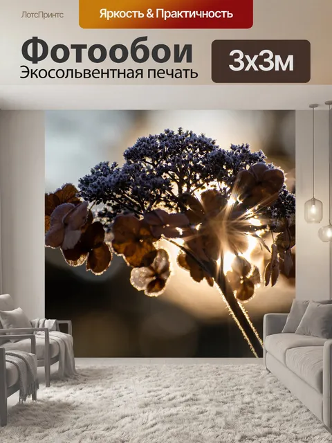 Фотообои Тарелка гортензия