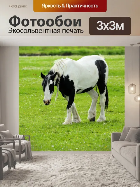 Фотообои Черный конь белый