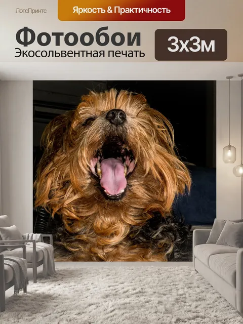 Фотообои Собака