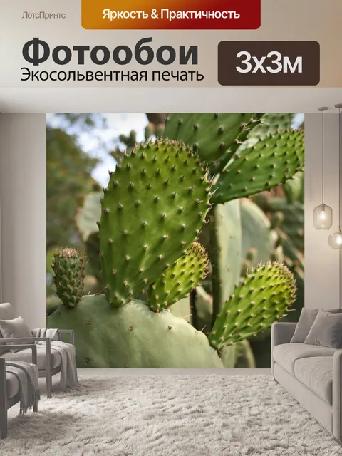 Фотообои Опунция