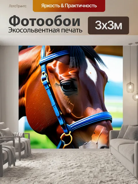 Фотообои с лошадью