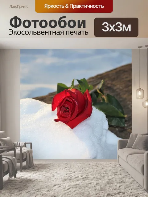 Фотообои Замороженные красная роза на скамейке