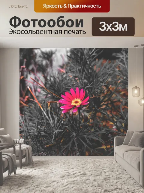 Фотообои Природа