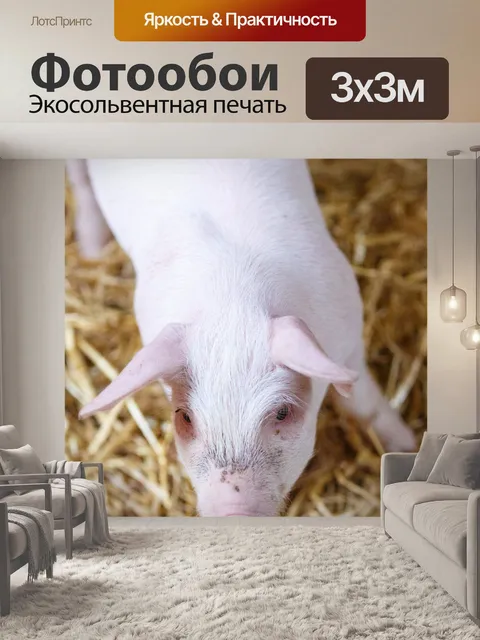 Фотообои поросенок в сарае