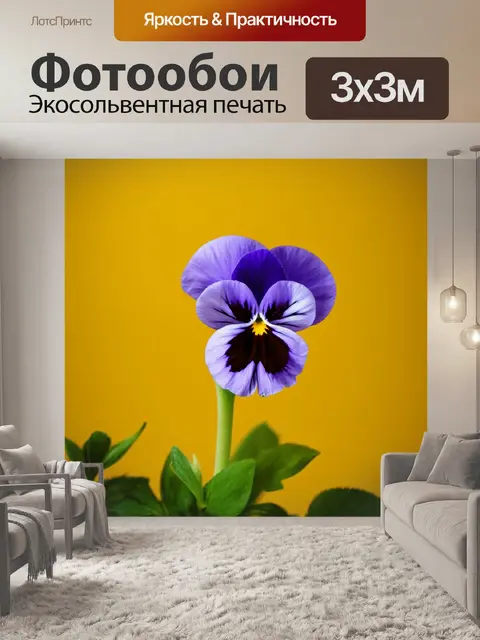 Фотообои снимок фиолетовых анютиных глазок