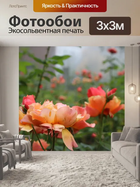 Фотообои Розы