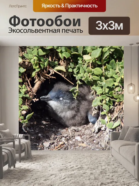 Фотообои Пингвин