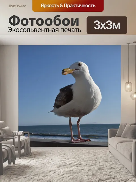 Фотообои чайка