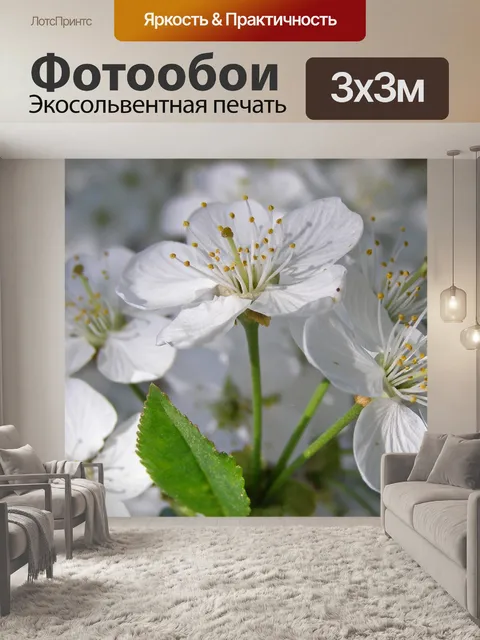 Фотообои Терновник