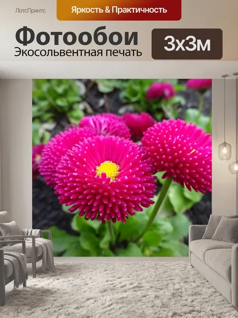 Фотообои Сад