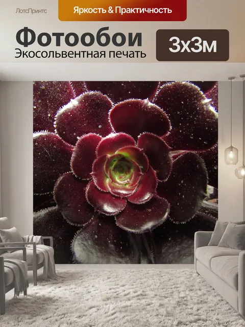 Фотообои Черная роза