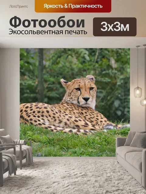 Фотообои Леопард