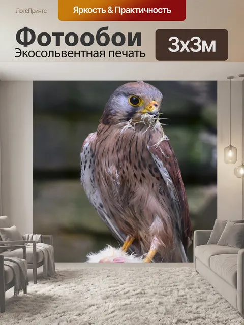 Фотообои Хищные птицы