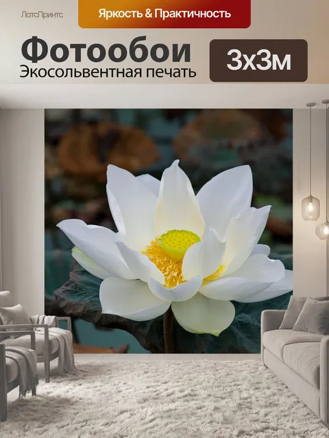 Фотообои Белый лотос