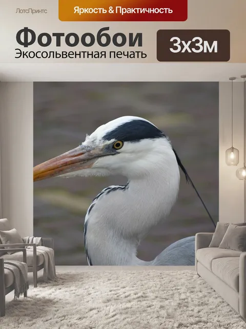 Фотообои Цапля